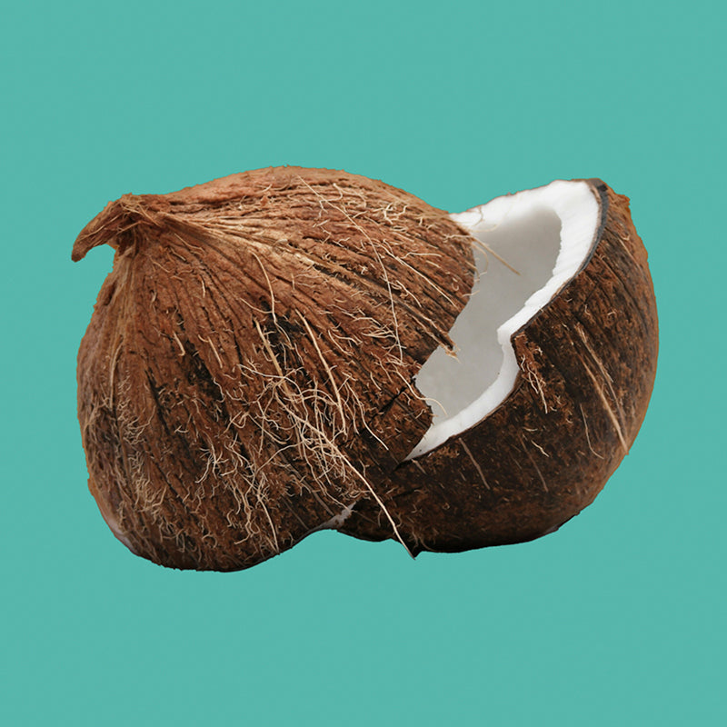 Raw Cacao & Coconut 8 Pack