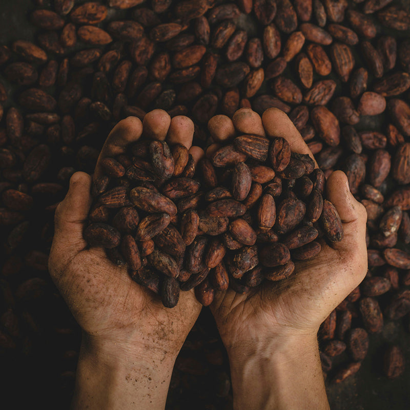 Pistachio & Raw Cacao 8 Pack